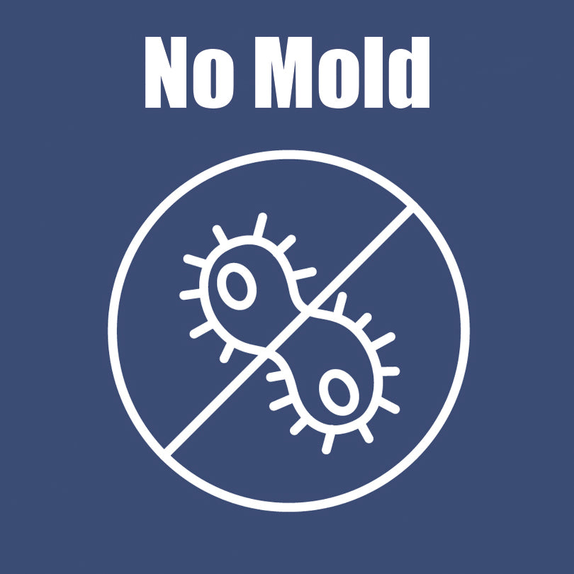 No Mold